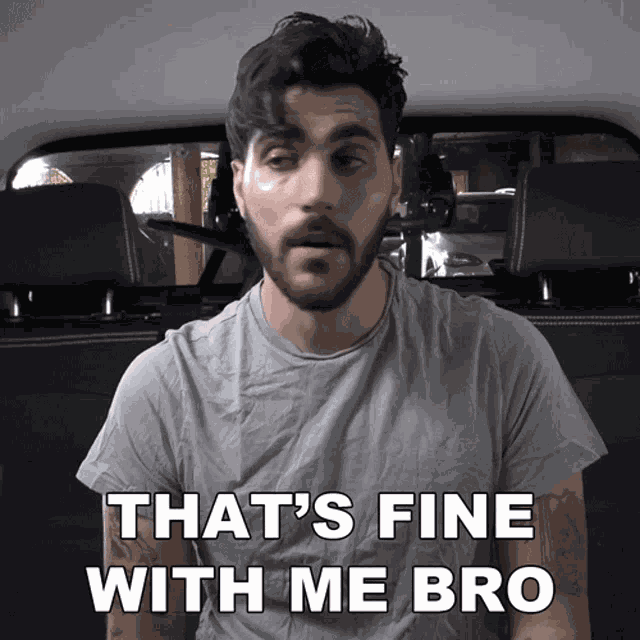 Thats Fine With Me Bro Rudy Ayoub GIF