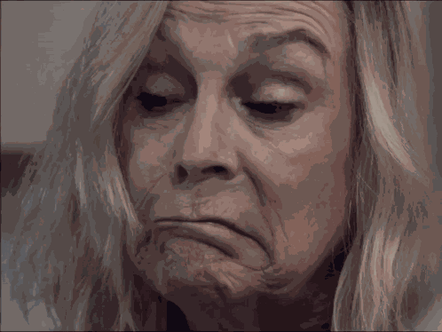 The Bear Tv Show GIF