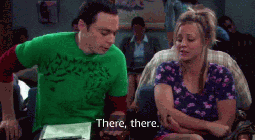 The Big Bang Theory Sheldon Cooper GIF