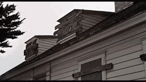 The Birds Boarding The Windows GIF