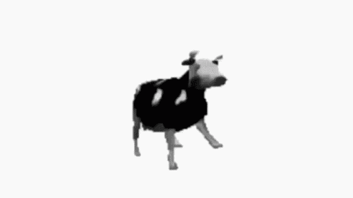 The Cow After Roblox Verification Be Like GIF