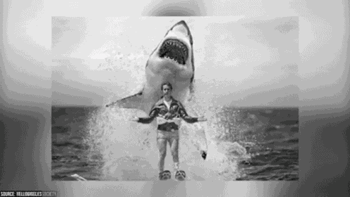 The Fonz Fonz GIF