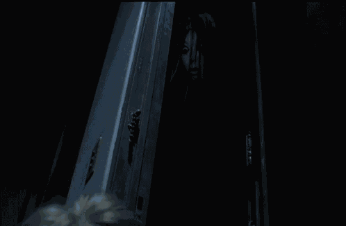 The Grudge Horror GIF