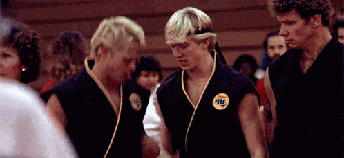 The Karate Kid Cobra Kai GIF