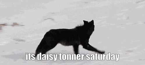 The Magnus Archives Tma GIF