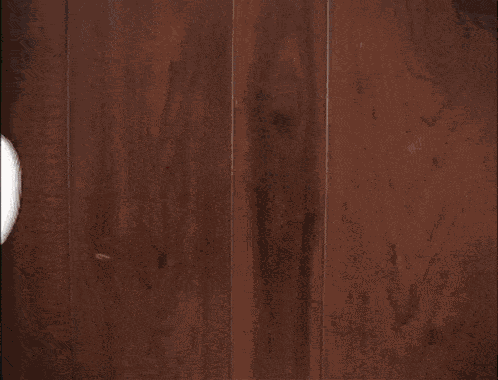 The Money Is Always Right Mr Krabs GIF