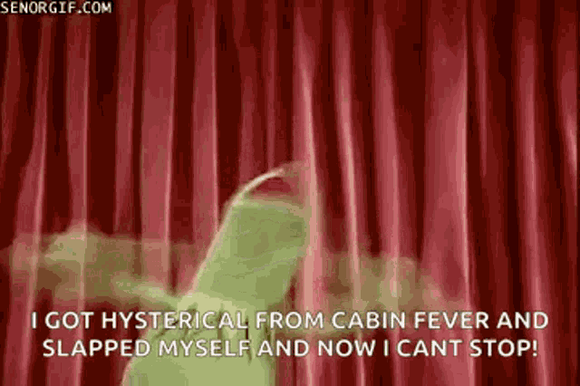 The Muppets Kermit The Frog GIF