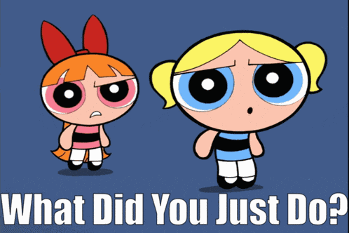 The Powerpuff Girls What Did You Just Do GIF
