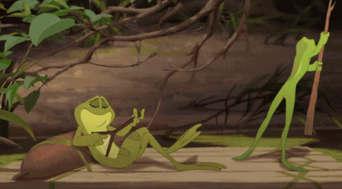 The Princess And The Frog Frog GIF