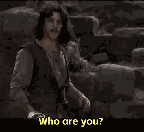 The Princess Bride Who Are You No One Get Used To Disappointment Okay Inigo Montoya GIF