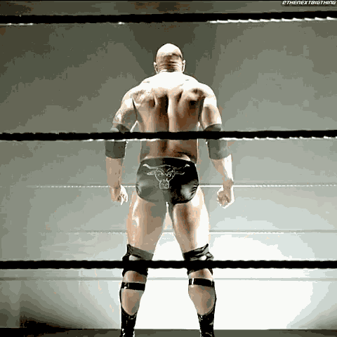 The Rock Raise Eyebrow GIF
