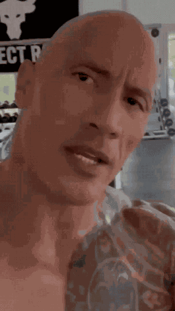 The Rock Sus GIF