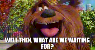 The Secret Life Of Pets Well Then GIF