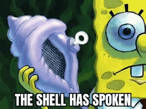 The Shell GIF