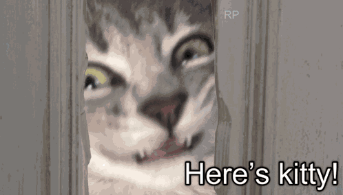 The Shining Here'S Johnny GIF