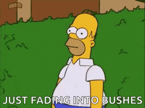 The Simpsons Homer Simpson GIF