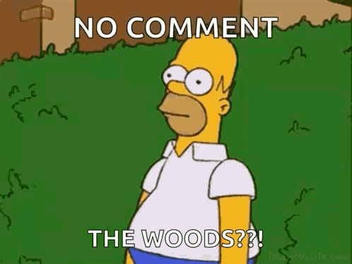 The Simpsons Homer GIF