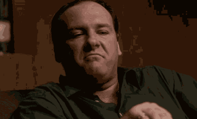 The Sopranos Tony Soprano GIF