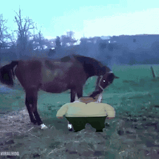 The Tweaker Tweaker GIF