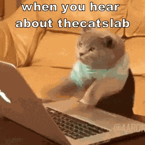 Thecatslab Computer GIF