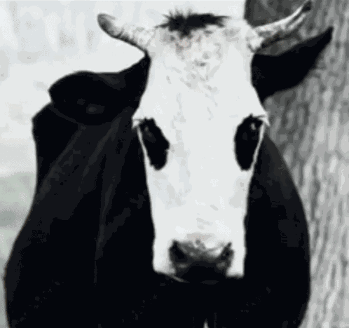 Thecreature Offlain GIF