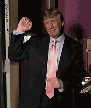 Thedonald Trump GIF