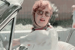 Thelma And Louise Susan Sarandon GIF