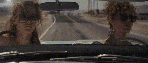 Thelma & Louise Louise And Thelma GIF