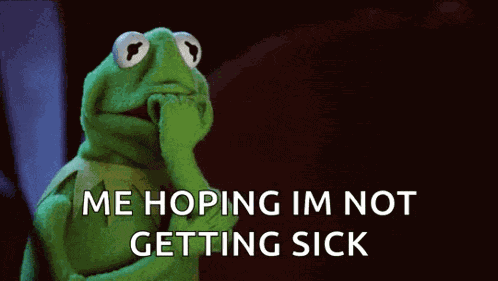 Themuppets Kermitthefrog GIF