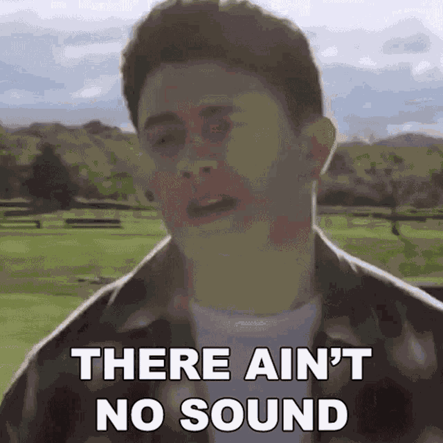 There Aint No Sound Roman Alexander GIF