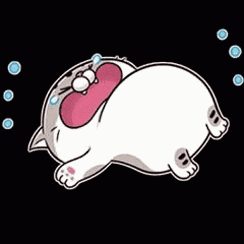 Thicham Cat GIF