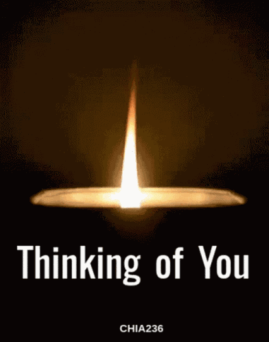 Thinking Of You Chia236 GIF
