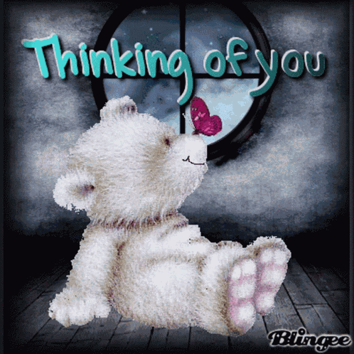Thinking Of You Teddy Bear GIF