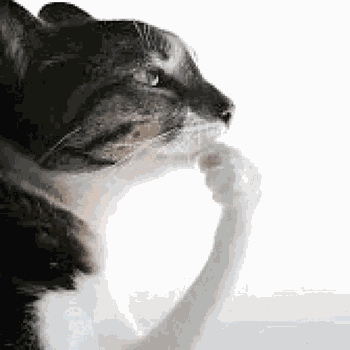 Thinking Pondering GIF