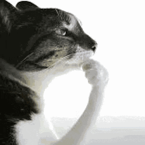 Thinking Pondering Meme