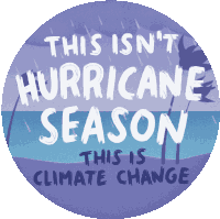 This Is Climate Change Rain Sticker