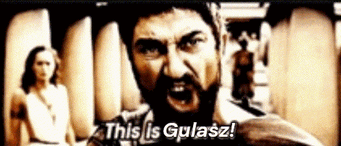 This Is Sparta This Is Gulasz GIF
