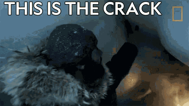 This Is The Crack Hazen Audel GIF