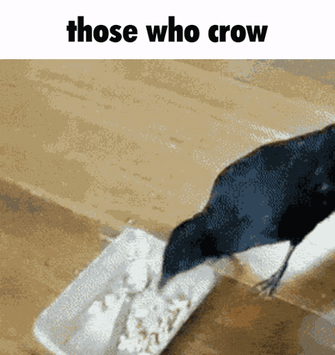 Those Who Know Who Me GIF