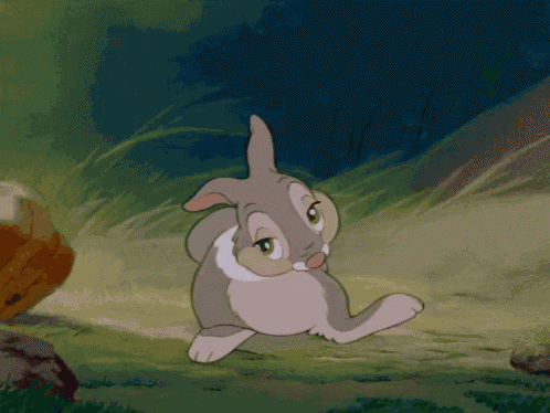 Thumper Bambi GIF