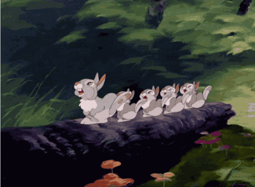 Thumper Bunny GIF