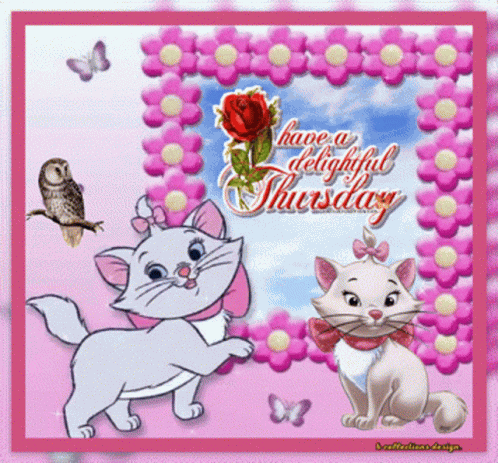 Thursday Happy GIF