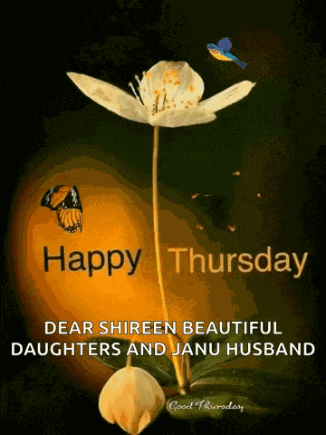 Thursday Morning GIF