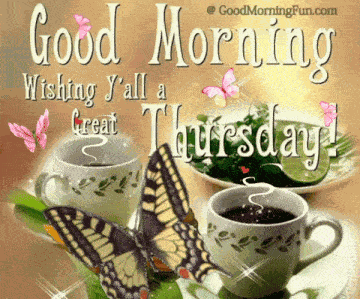 Thursday Morning GIF
