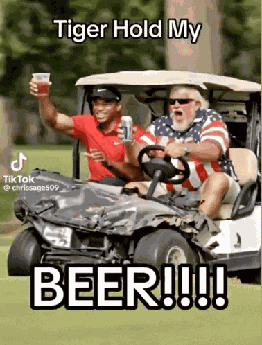 Tiger Woods Golf Course GIF