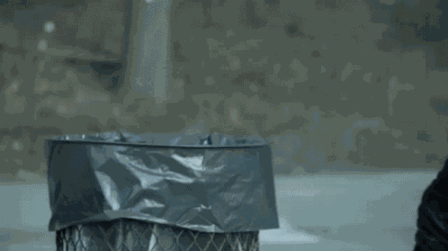 Tignari GIF