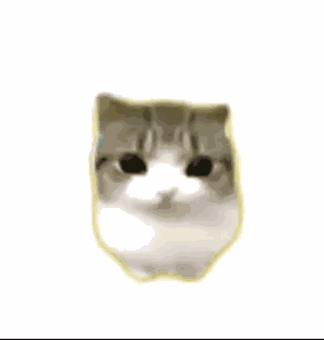 Tiktok Didi GIF