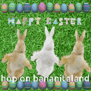 Tilin House Rabbit GIF
