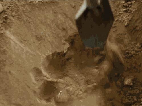 Tim Minchin Upright GIF