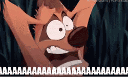 Timao E Pumba Desesperados GIF